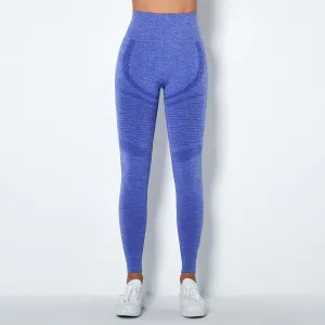 AeroReady Seamless Mesh Sports Leggings