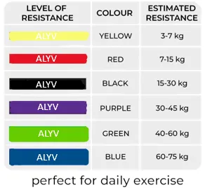ALYV Loop Resistance Band Heavy Bands Workout Stertching Yoga Fitness Band | 40 - 60 Kgs (Pack of 1 | Green)