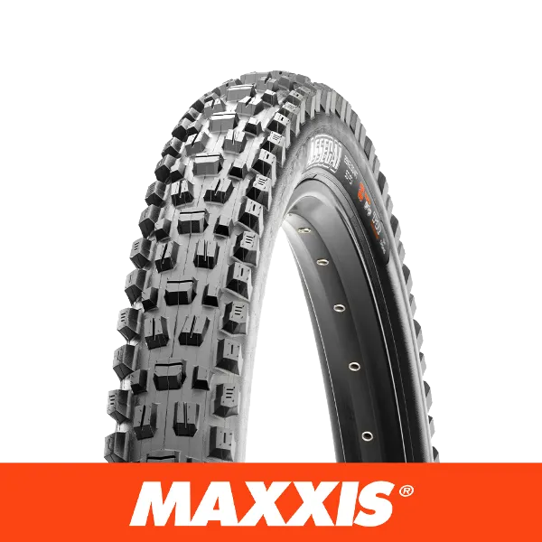 Assegai 29 x 2.5 WT Grip EXO TR 60 TPI Tyre