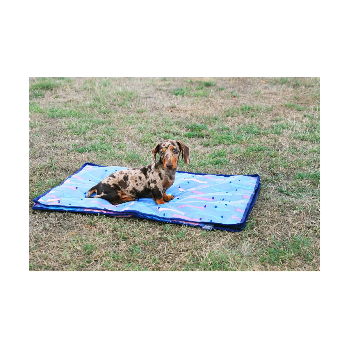 Benji & Flo Dorris The Dachshund Dog Bed