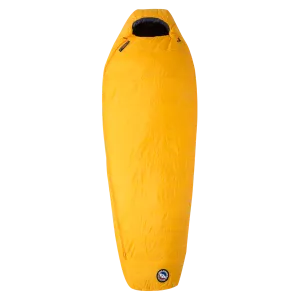 BIG AGNES LOST DOG 30