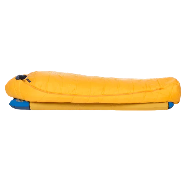 BIG AGNES LOST DOG 30
