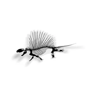 Dimetrodon Fossil Synapsid Sticker