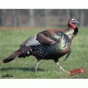 Duramesh Target Face #1 Turkey