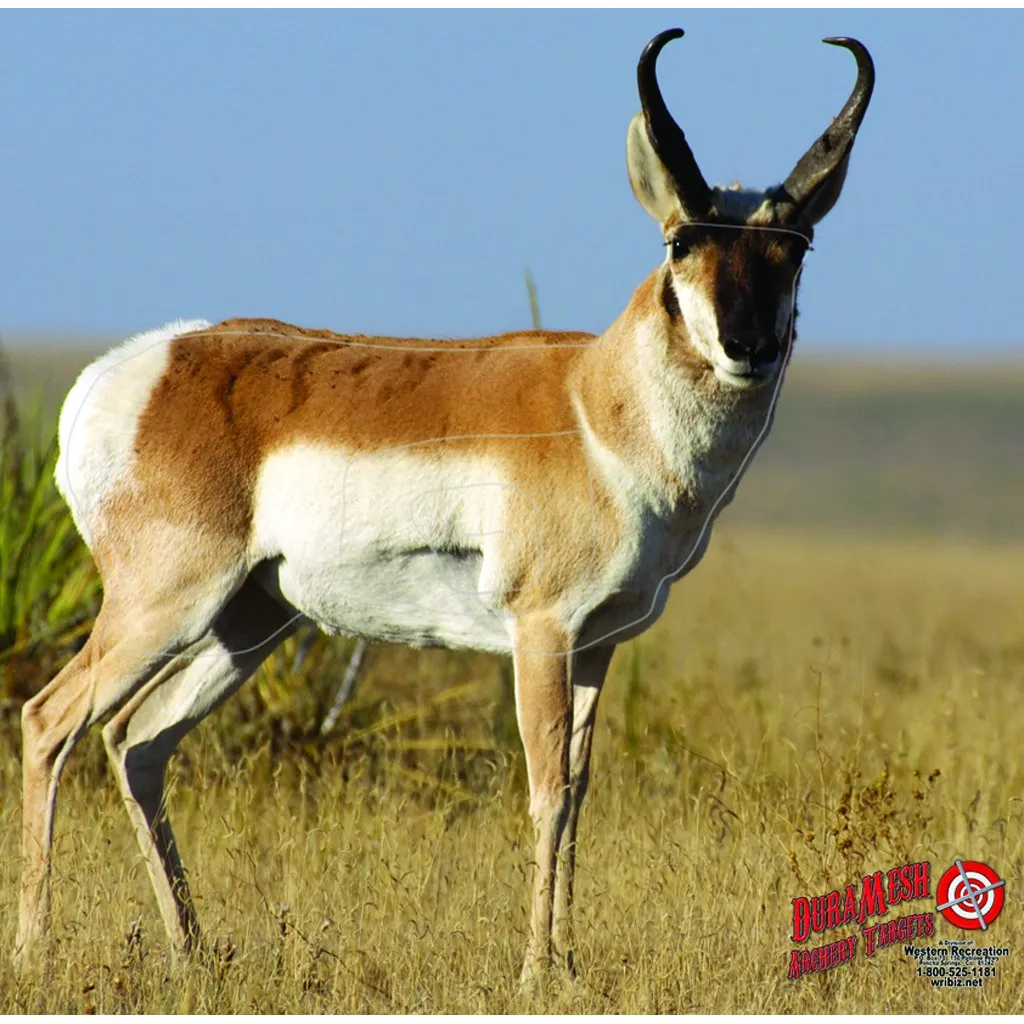 Duramesh Target Face Antelope