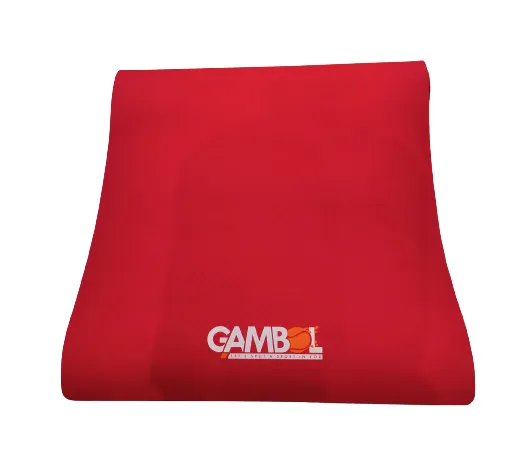 Gambol Yoga Mat (30 * 72) 8mm with Belt and Cover