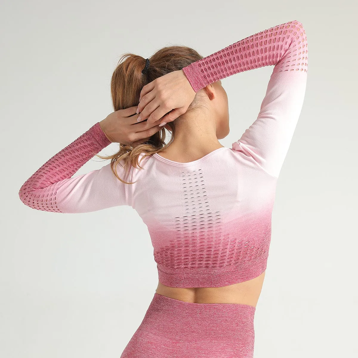Mesh Seamless Sports Crop Top Long Sleeve