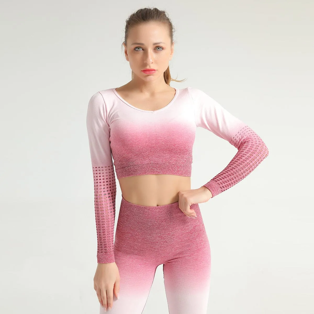 Mesh Seamless Sports Crop Top Long Sleeve