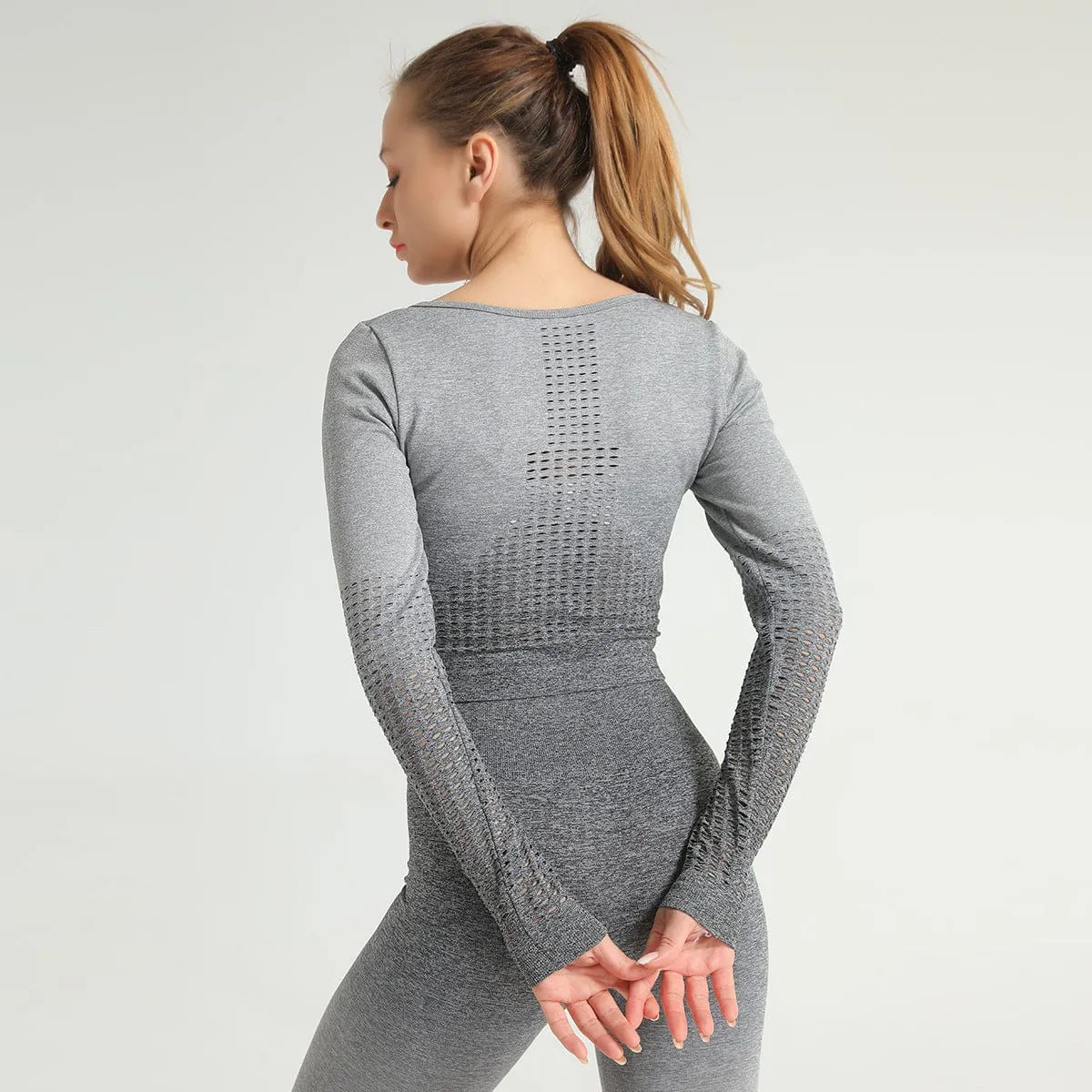 Mesh Seamless Sports Crop Top Long Sleeve
