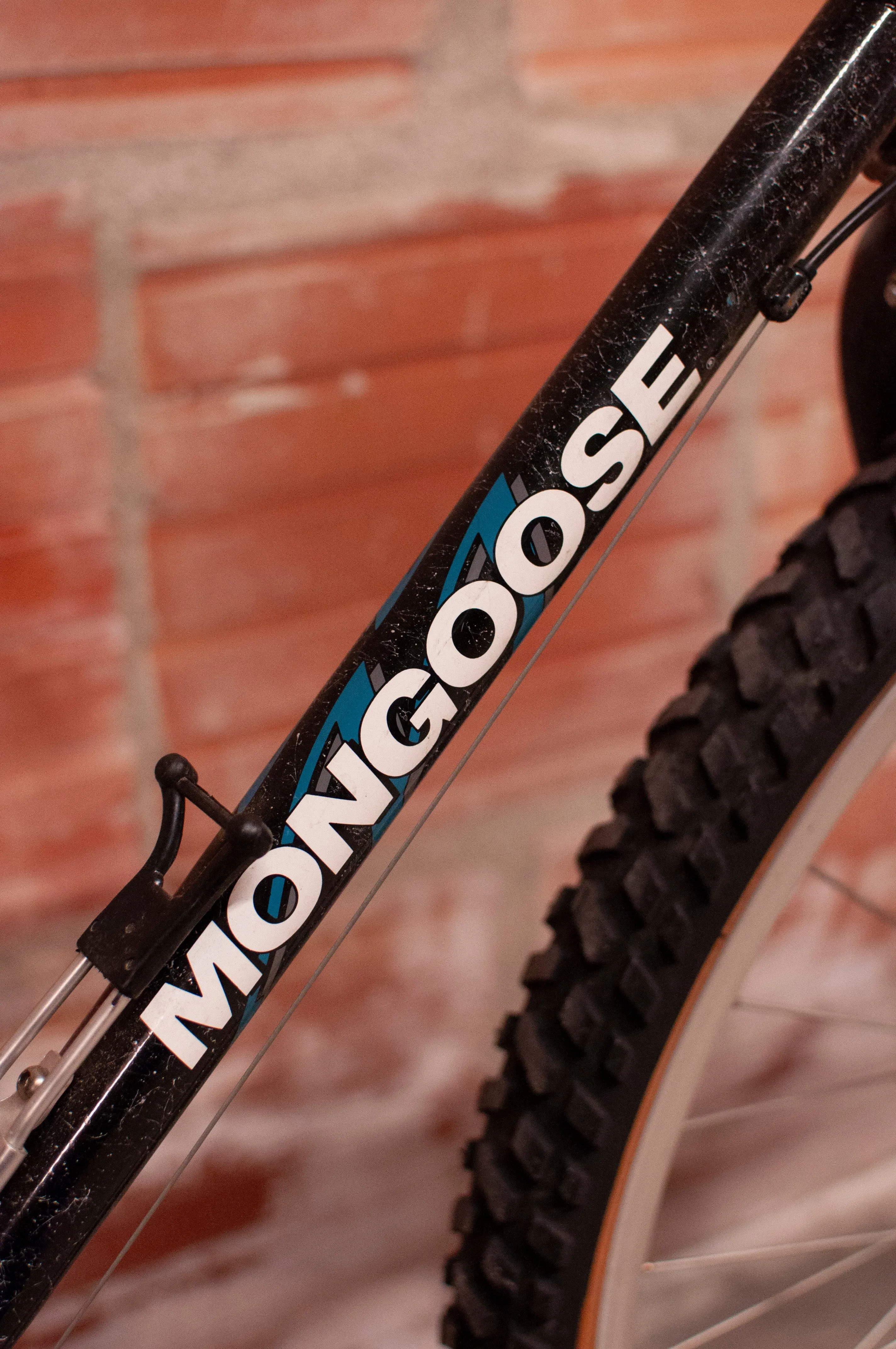 Mongoose Sycamore All Terrain Vintage rigid MTB, black, 56cm