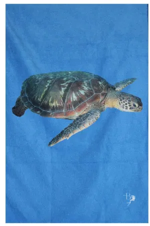 Ocean Life Terry Towel - Last Pieces - now just $15!