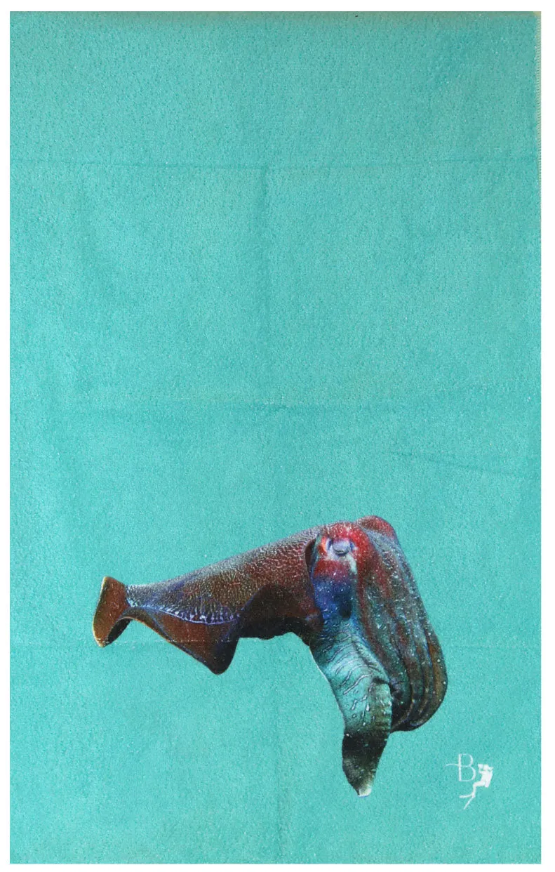 Ocean Life Terry Towel - Last Pieces - now just $15!