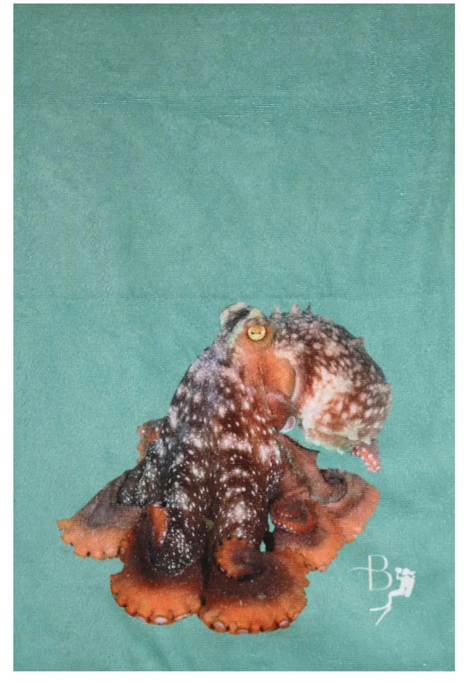 Ocean Life Terry Towel - Last Pieces - now just $15!