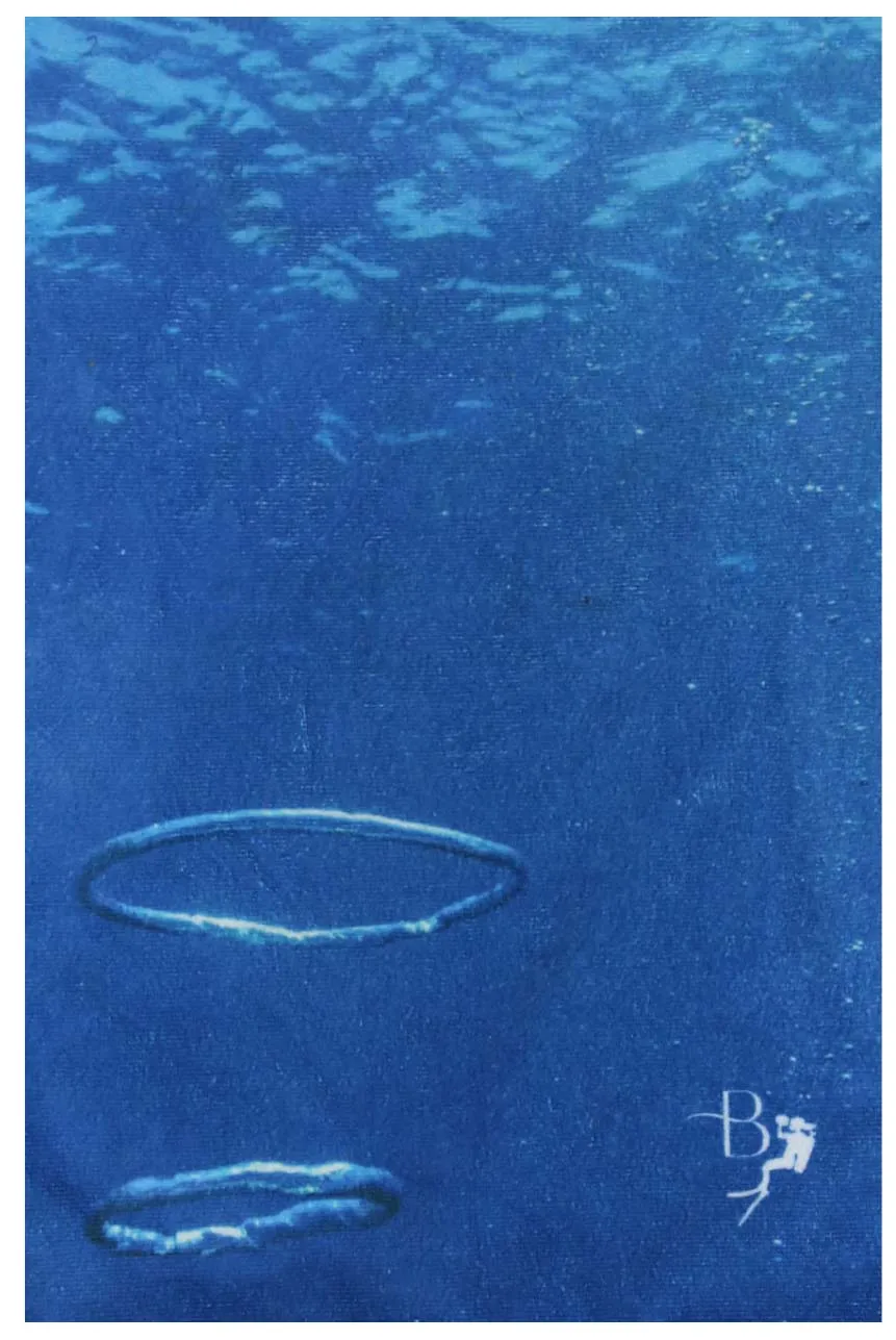Ocean Life Terry Towel - Last Pieces - now just $15!