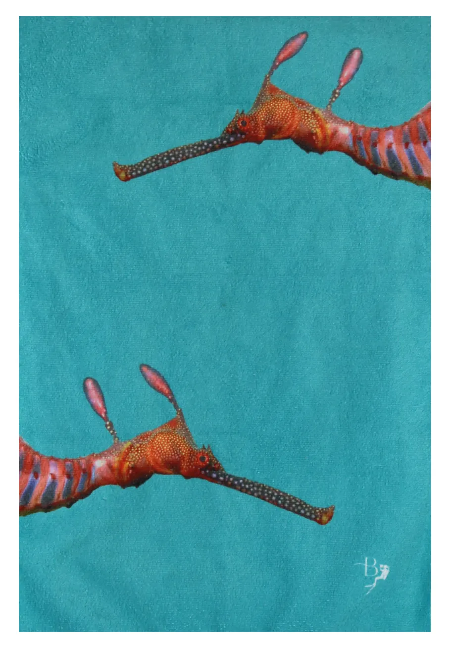 Ocean Life Terry Towel - Last Pieces - now just $15!