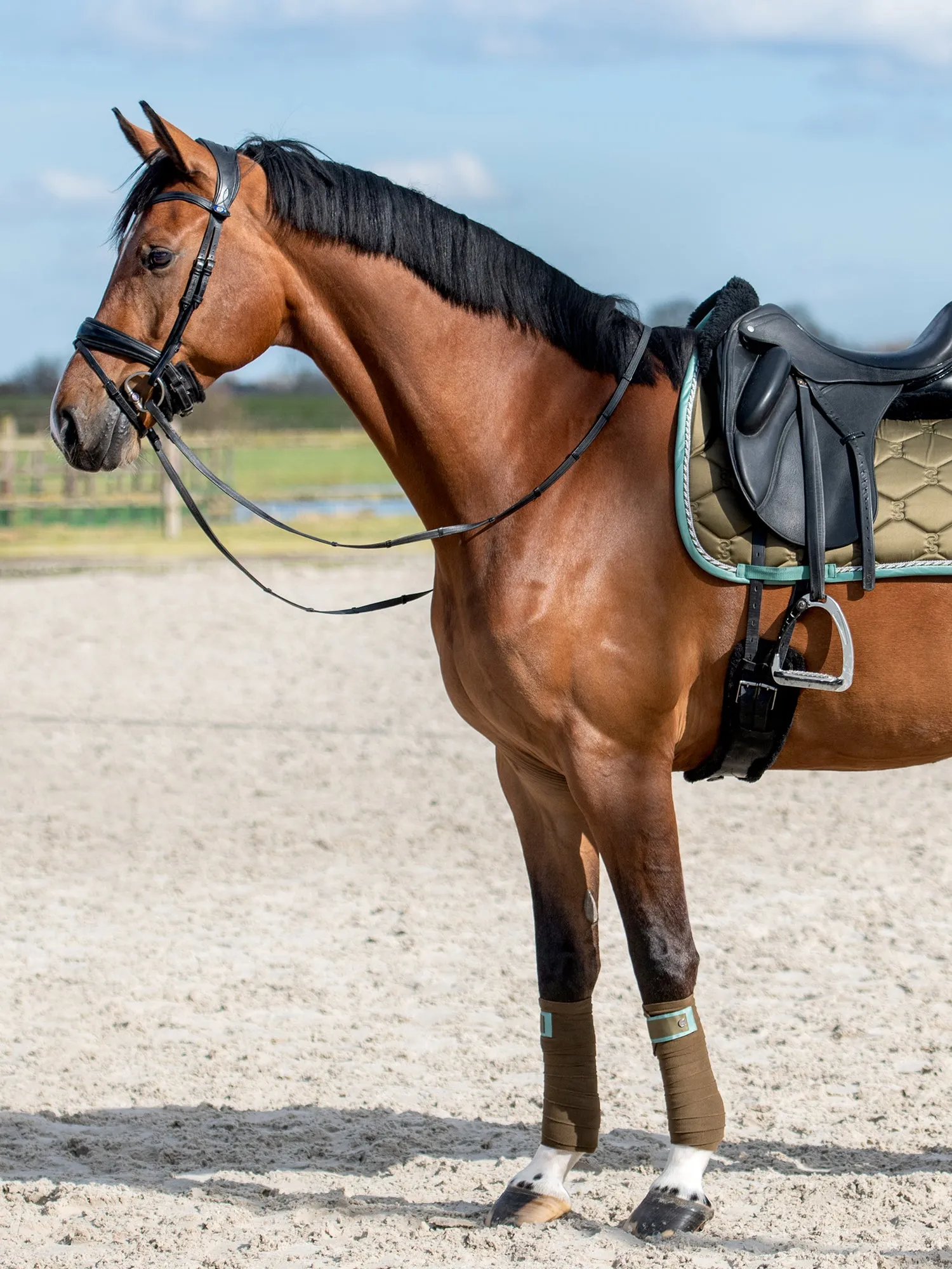PS of Sweden Olive signature Dressage saddlepad