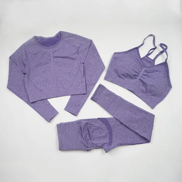 Seamless Yoga Set Women Workout Sportswear Gym