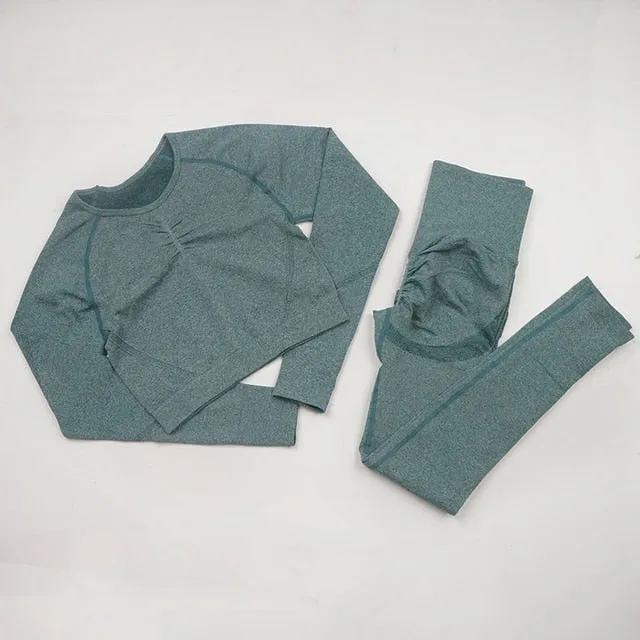 Seamless Yoga Set Women Workout Sportswear Gym