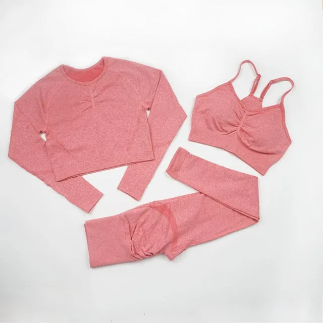 Seamless Yoga Set Women Workout Sportswear Gym