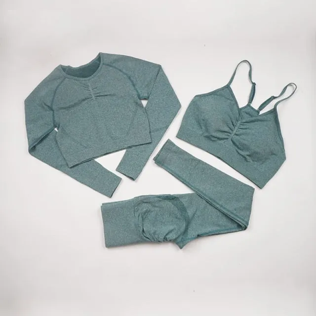 Seamless Yoga Set Women Workout Sportswear Gym