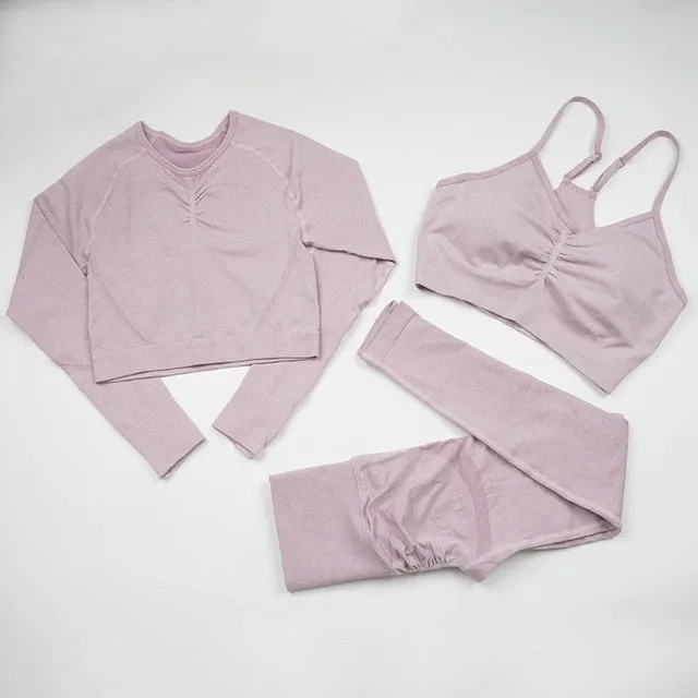 Seamless Yoga Set Women Workout Sportswear Gym