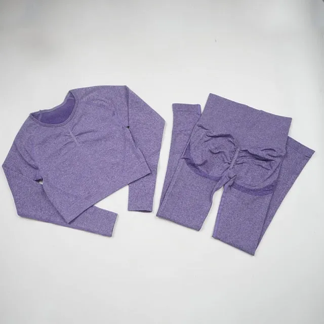 Seamless Yoga Set Women Workout Sportswear Gym