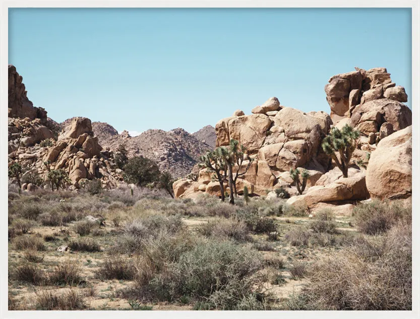 The Hike