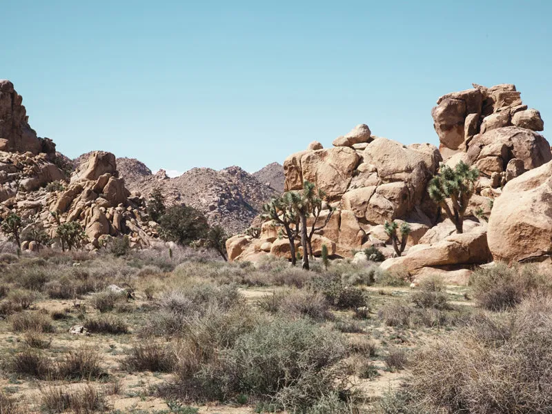 The Hike