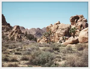 The Hike