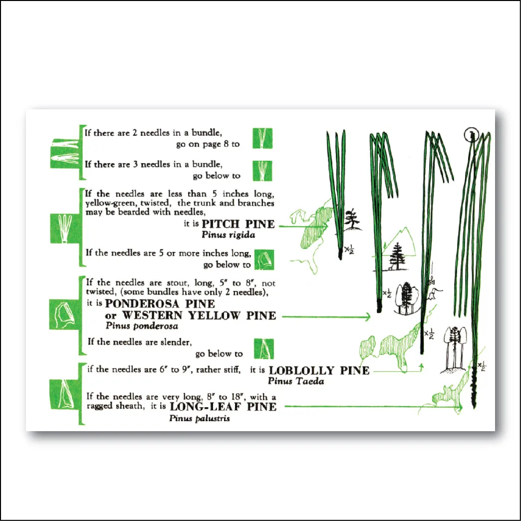 Tree Finder Manual
