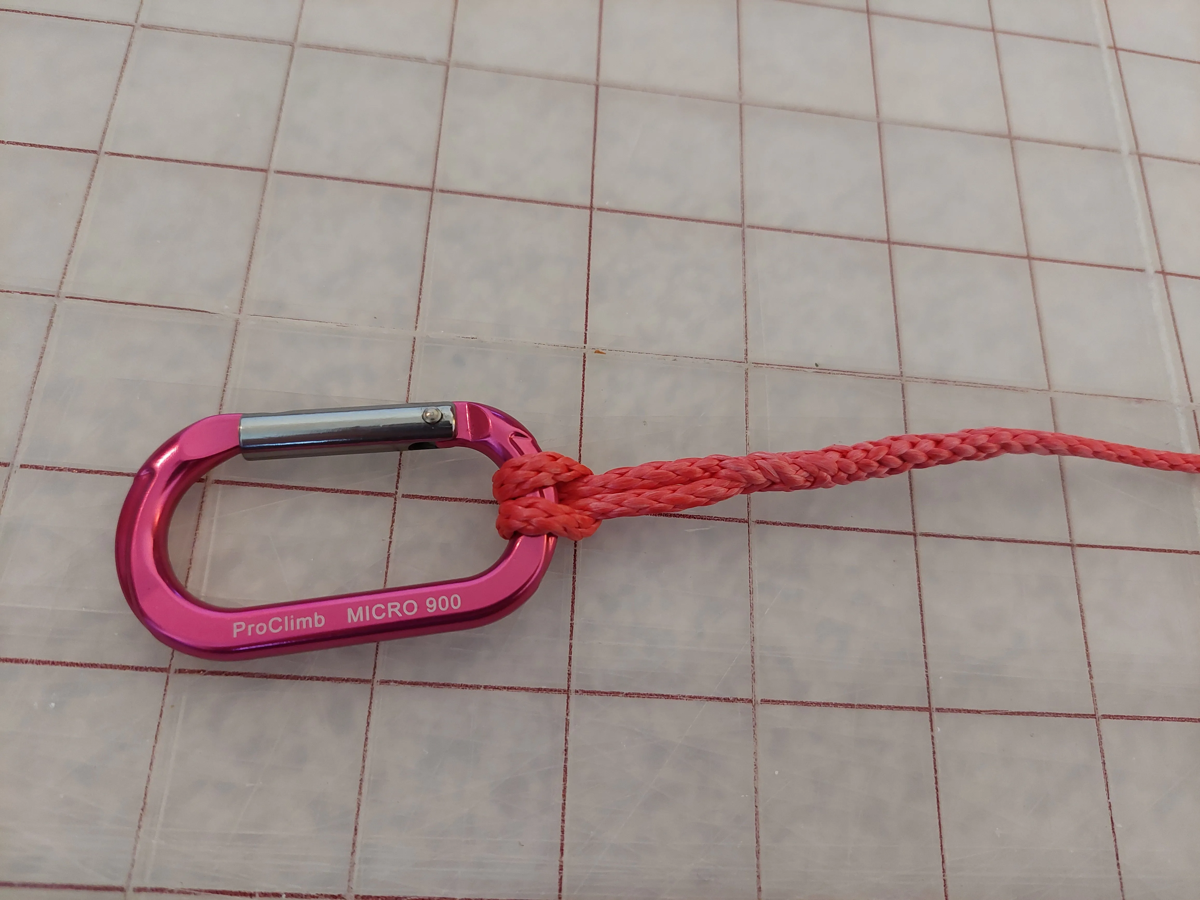 Ultralight Dog Leash - Red Amsteel