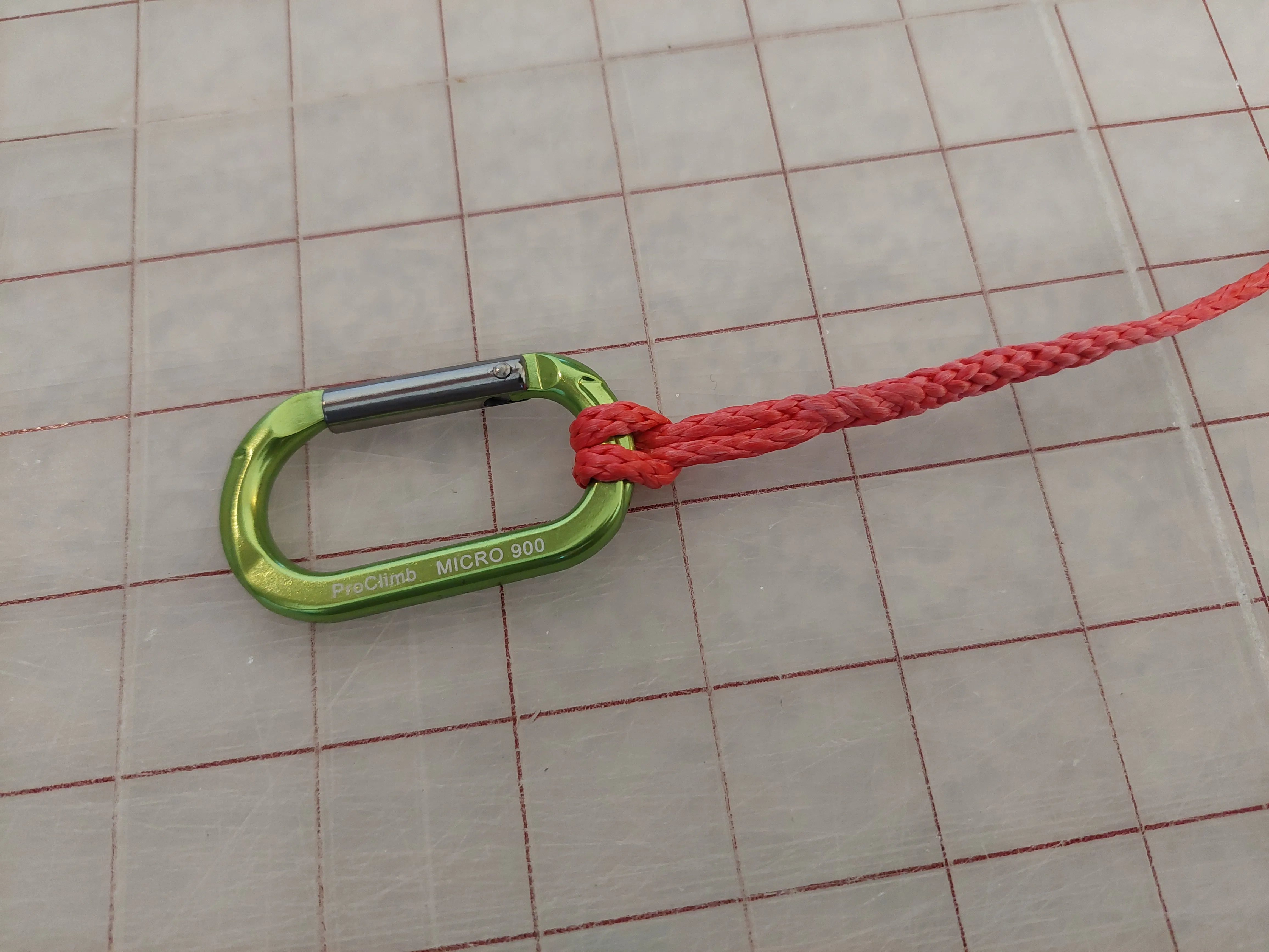 Ultralight Dog Leash - Red Amsteel