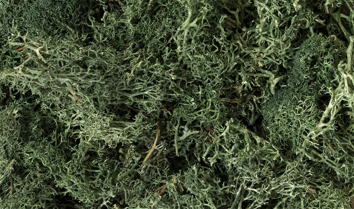 Woodland Scenics Lichen - Dark Green